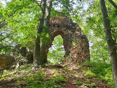 Zřícenina hradu Bradlec u Lomnice: místo, které stojí za návštěvu
