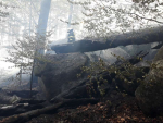 Rozsáhlý požár lesa u Raspenavy