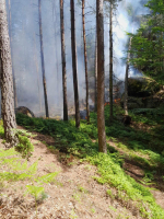 Požár lesního porostu u Frýdštejna