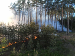 Požár lesního porostu v Ralsku - Hradčany