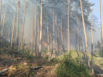 Požár lesního porostu v Ralsku - Hradčany