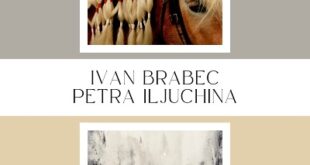 Ke kořenům spojuje obrazy Petry Iljuchiny a fotoreporty Ivana Brabce