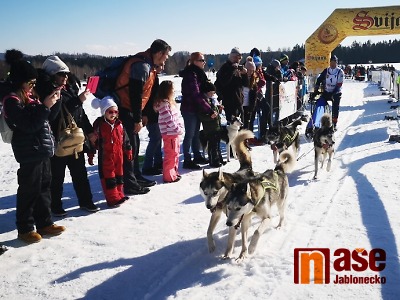 Zásada se promění 7. a 8. února v centrum mushingu