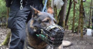 Nová posila městské policie: Seznamte se s Martinem a Cyrilem