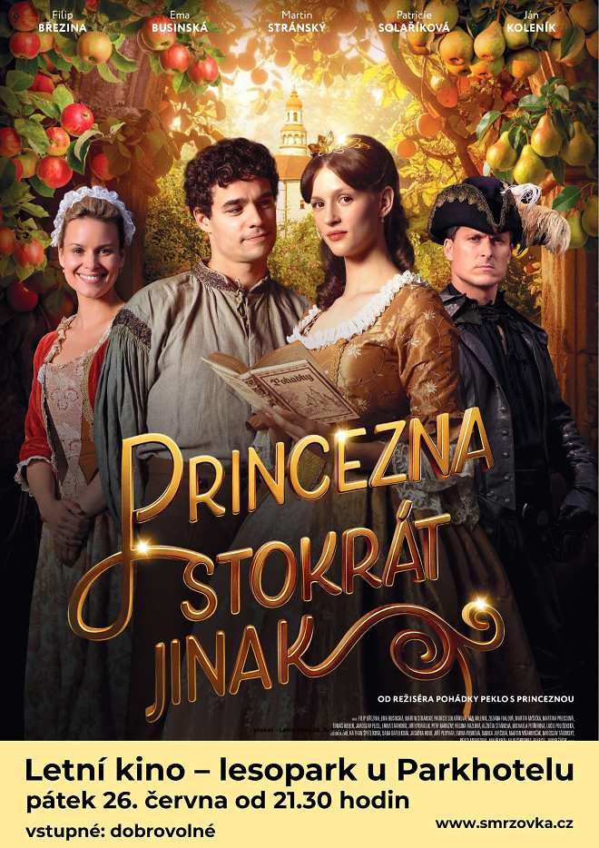 Princezna stokrát jinak